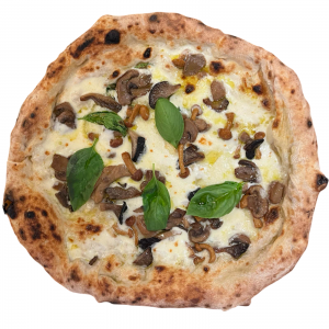 Fior di Funghi